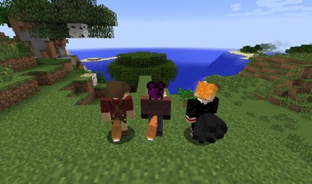  Tails  Minecraft 1.8.8