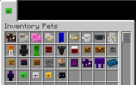  Inventory Pets  Minecraft 1.8.9