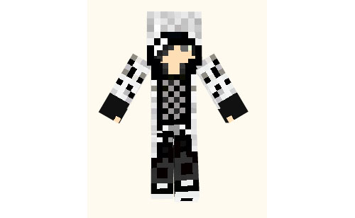  Assasin Dubfire Skin  Minecraft