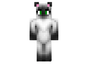 http://minecraftaly.ru/uploads/posts/skins/Cloudspiret-skin.png