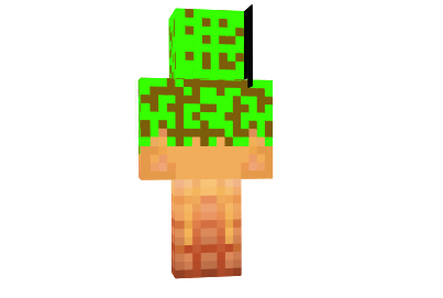 http://minecraftaly.ru/uploads/posts/skins/Do-not-vote-for-me-skin-1.png