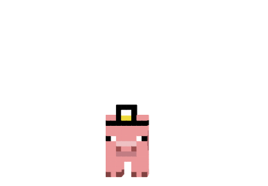  Doctor Pig Skin  Minecraft