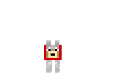 http://minecraftaly.ru/uploads/posts/skins/Dog-read-descreption-skin.png