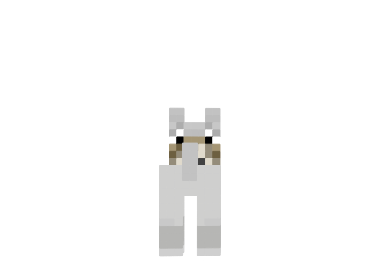 http://minecraftaly.ru/uploads/posts/skins/Minecraft-wolf-skin-1.png