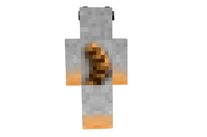 http://minecraftaly.ru/uploads/posts/skins/Morningfall-skin-1.png