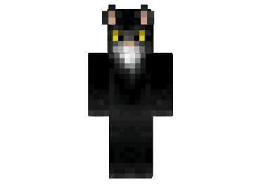 http://minecraftaly.ru/uploads/posts/skins/Ravenpaw-skin.png