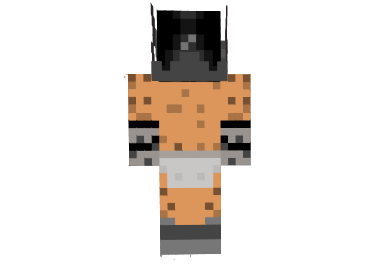 http://minecraftaly.ru/uploads/posts/skins/Skyrim-skin-1.png