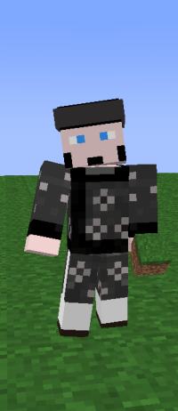 http://minecraftaly.ru/uploads/posts/skins/Tet-Viet-Nam-Skin-3.jpg