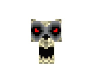 http://minecraftaly.ru/uploads/posts/skins/The-doom-skull-skin.png