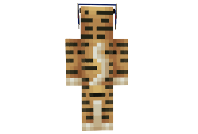 http://minecraftaly.ru/uploads/posts/skins/Tiger-skin-1.png